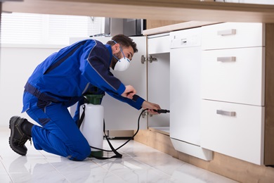 residential pest control near me