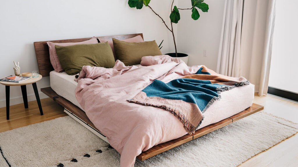 bed bug inspection