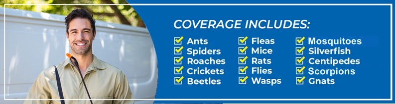 spider exterminator