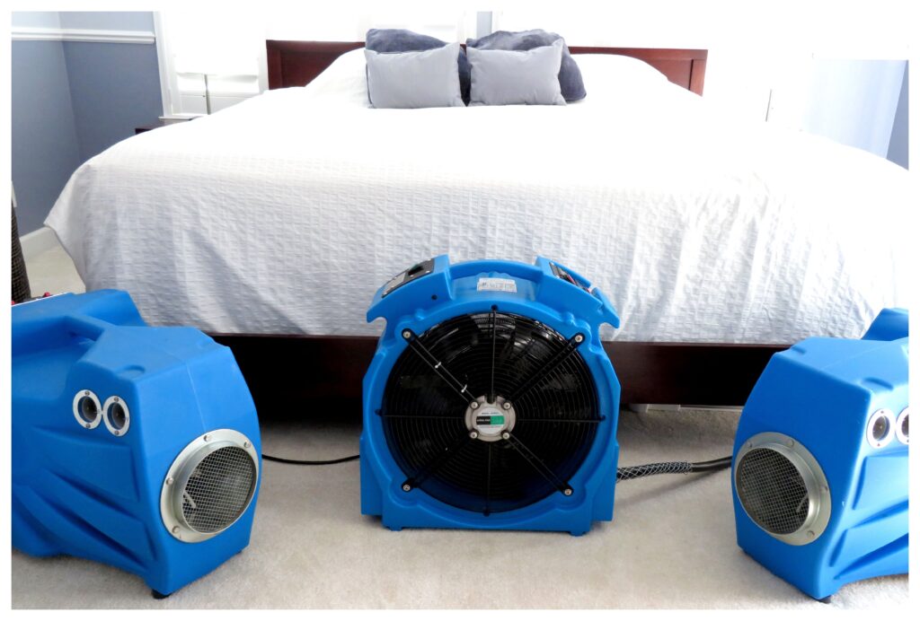 bed bug heat treatment solutions