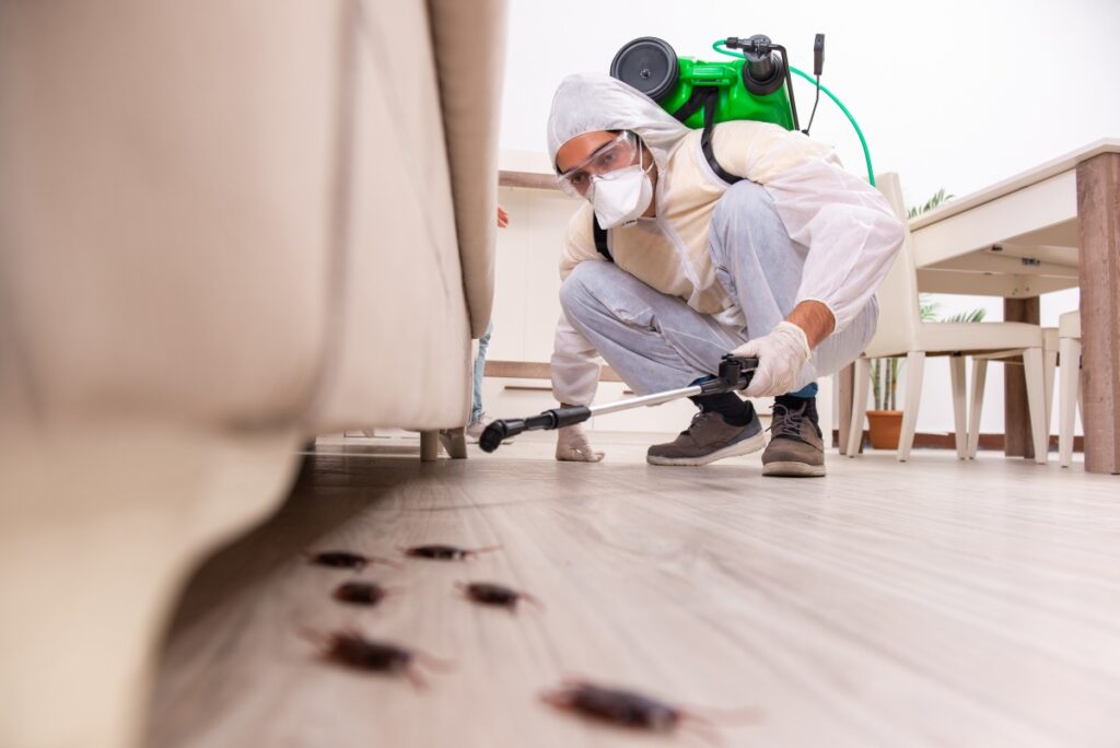 roach exterminators near me