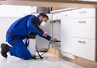 residential pest control near me
